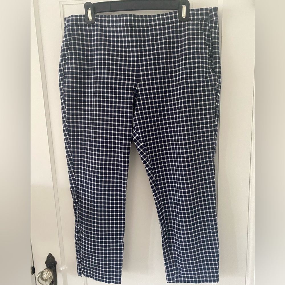 J Crew Martie Pant Size 14